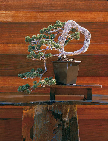 Фотография: Флористика в стиле , Стиль жизни – фото на INMYROOM