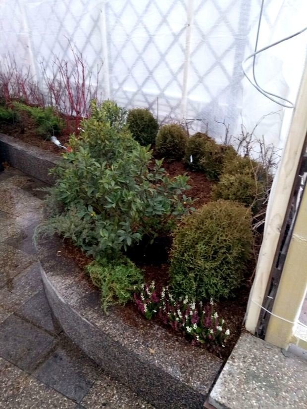 Фото из портфолио Ландшафтный дизайн приквартирного участка на Проспекте Мира – фотографии дизайна интерьеров на INMYROOM