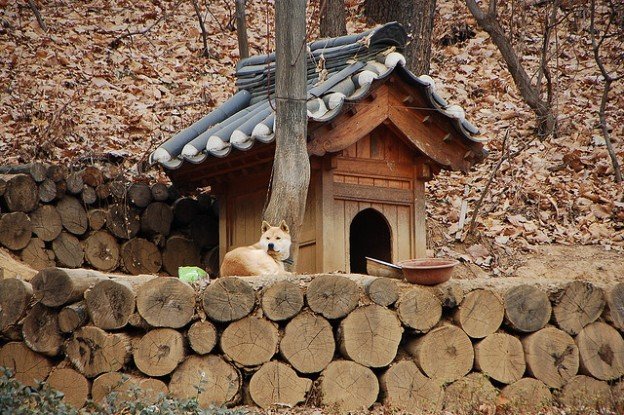 Фотография: в стиле Современный, Стиль жизни, Советы – фото на INMYROOM Фотография: в стиле Современный, Стиль жизни, Советы – фото на INMYROOM