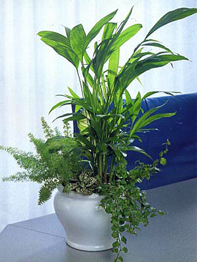 Фото из портфолио Мое избранное – фотографии дизайна интерьеров на INMYROOM