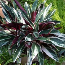 Фото из портфолио фото – фотографии дизайна интерьеров на INMYROOM