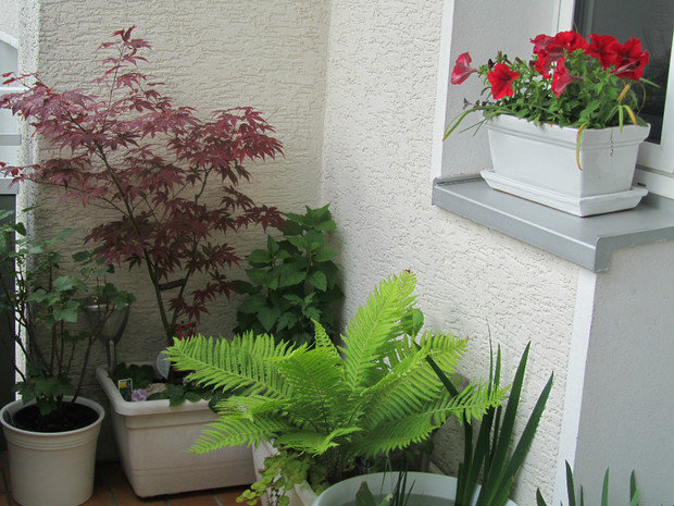 Фото из портфолио МОЙ БАЛКОН – фотографии дизайна интерьеров на INMYROOM