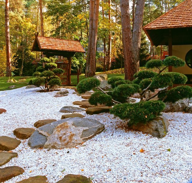 Фотография: Ландшафт в стиле Современный, Восточный, Стиль жизни – фото на INMYROOM