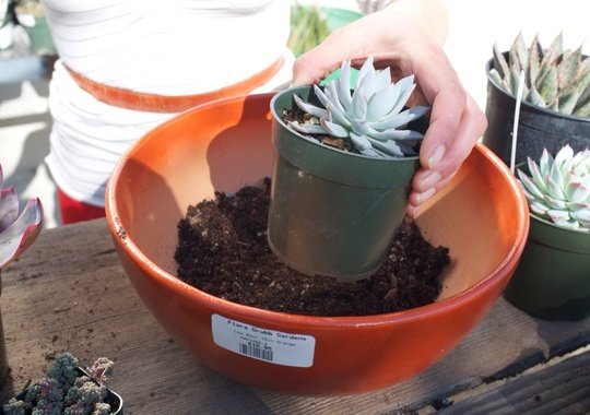 Фотография: Прочее в стиле , Балкон, Интерьер комнат, специальная тема: балконы – фото на INMYROOM Фотография: Прочее в стиле , Балкон, Интерьер комнат, специальная тема: балконы – фото на INMYROOM