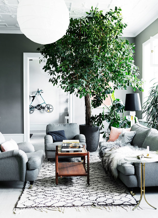 Фото из портфолио ОАЗИС в гостиной – фотографии дизайна интерьеров на INMYROOM