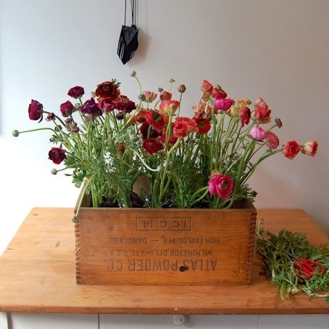 Фотография: Флористика в стиле , Декор интерьера, DIY – фото на INMYROOM