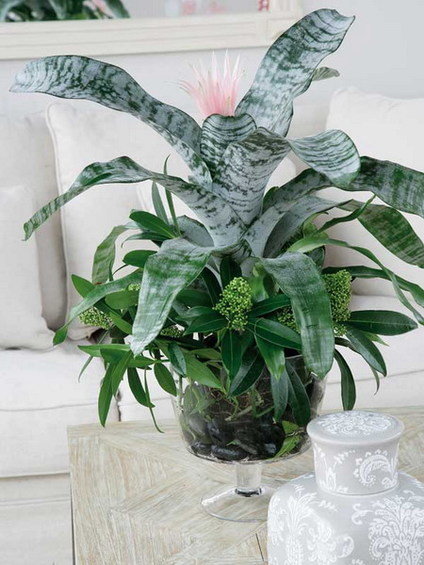 Фотография: Флористика в стиле , Стиль жизни – фото на INMYROOM