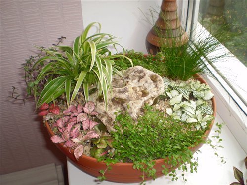 Фото из портфолио Флористика – фотографии дизайна интерьеров на INMYROOM