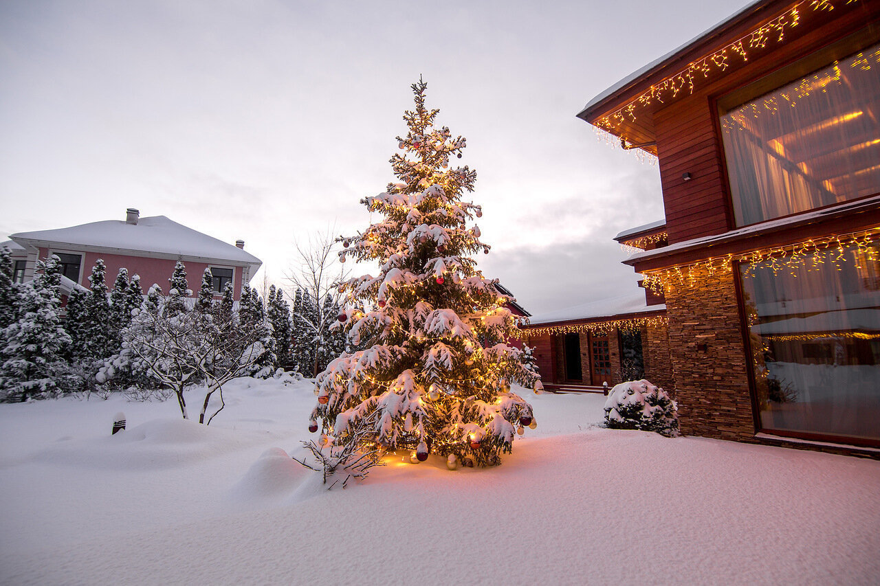 Фотография: в стиле , Советы, Derevo Park – фото на INMYROOM