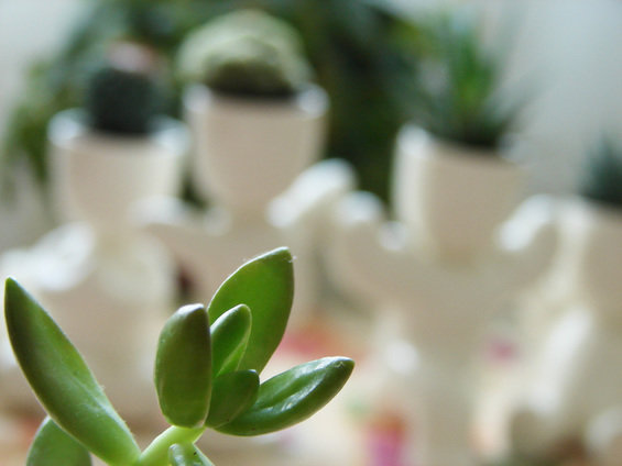 Фотография: Аксессуары в стиле Современный – фото на INMYROOM