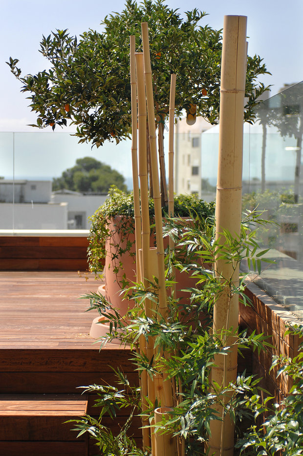 Фото из портфолио House in the beach – фотографии дизайна интерьеров на INMYROOM