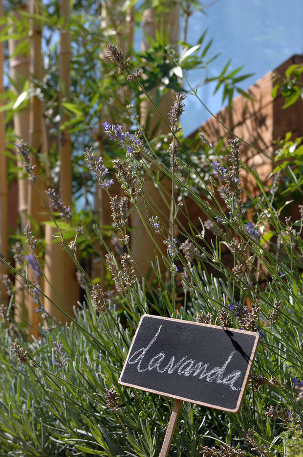 Фото из портфолио House in the beach – фотографии дизайна интерьеров на INMYROOM