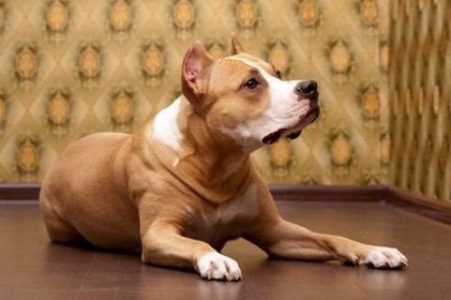 Фотография: Прочее в стиле , Стиль жизни, Советы, Обои – фото на INMYROOM