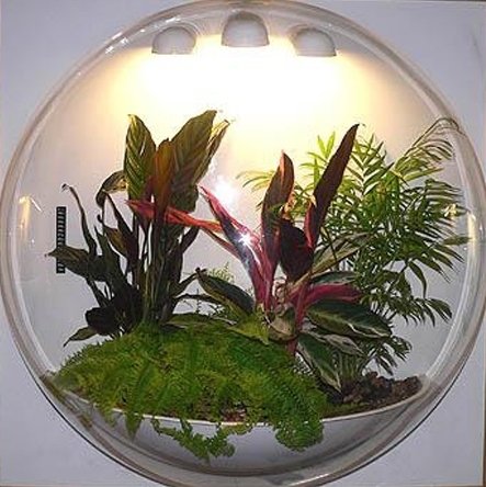 Фотография: Флористика в стиле , Декор интерьера, Офисное пространство, Ландшафт, Стиль жизни – фото на INMYROOM