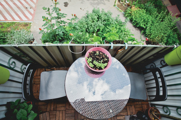 Фотография: Балкон, Терраса в стиле Прованс и Кантри, Декор интерьера, Интерьер комнат – фото на INMYROOM