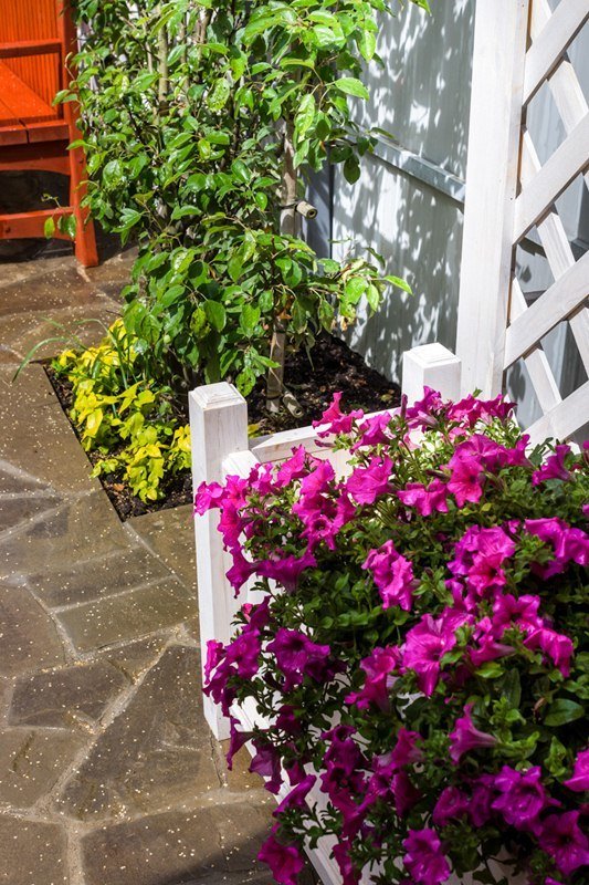 Фотография: Флористика в стиле , Дачный ответ, Беседка – фото на INMYROOM Фотография: Флористика в стиле , Дачный ответ, Беседка – фото на INMYROOM