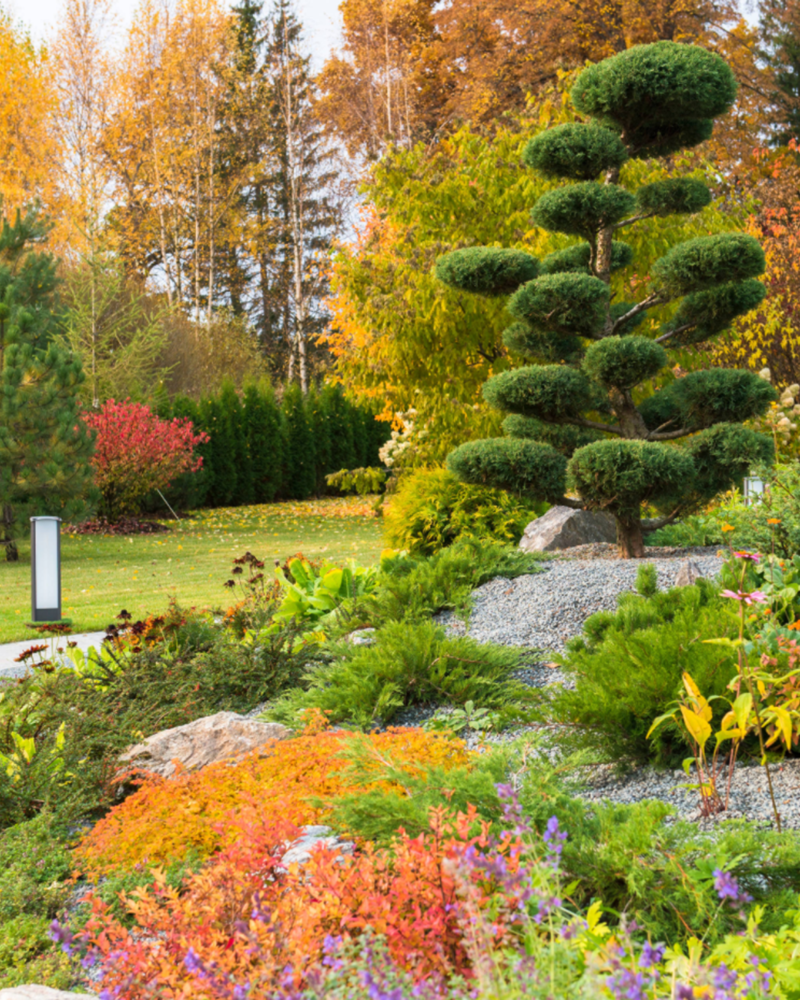 Фотография: Ландшафт в стиле , Дом и дача, Ирина Лукьянова, Дача осенью – фото на INMYROOM Фотография: Ландшафт в стиле , Дом и дача, Ирина Лукьянова, Дача осенью – фото на INMYROOM
