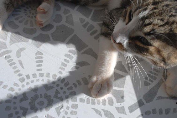 Фотография: Ландшафт в стиле , Декор и DIY, Декор дома, Пол – фото на INMYROOM Фотография: Ландшафт в стиле , Декор и DIY, Декор дома, Пол – фото на INMYROOM