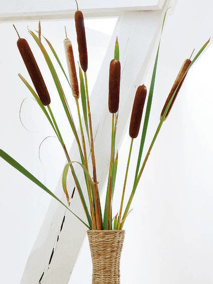 Фотография: Флористика в стиле , Декор интерьера, DIY – фото на INMYROOM