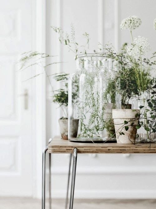 Фотография: Декор в стиле Скандинавский, Малогабаритная квартира, Квартира, Флористика, Стиль жизни, Зимний сад – фото на INMYROOM