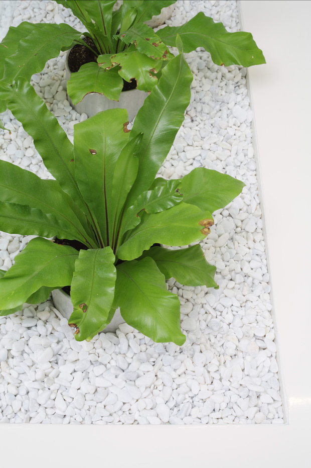 Фото из портфолио White Cube  – фотографии дизайна интерьеров на INMYROOM