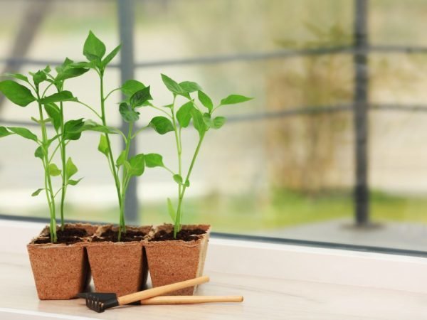 Фотография: Спальня в стиле Современный, Советы – фото на INMYROOM