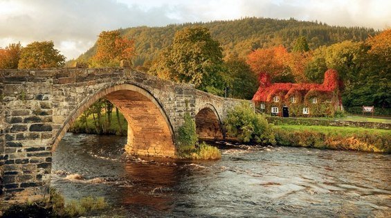 Фотография: Ландшафт в стиле Прованс и Кантри, Современный – фото на INMYROOM