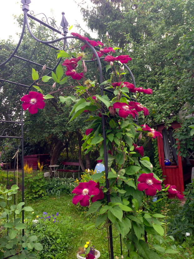 Фото из портфолио Дизайн вокруг меня – фотографии дизайна интерьеров на INMYROOM