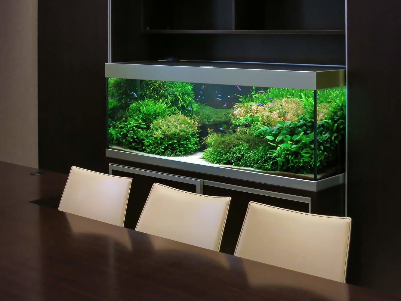 Фотография: в стиле , Советы – фото на INMYROOM