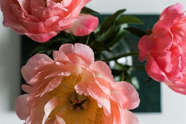 Фото из портфолио Ничего лишнего... – фотографии дизайна интерьеров на INMYROOM