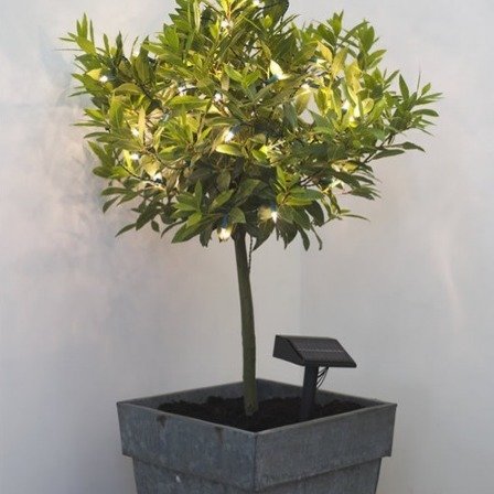 Фотография: Флористика в стиле , Декор интерьера, Освещение, Мебель и свет, Светильники – фото на INMYROOM