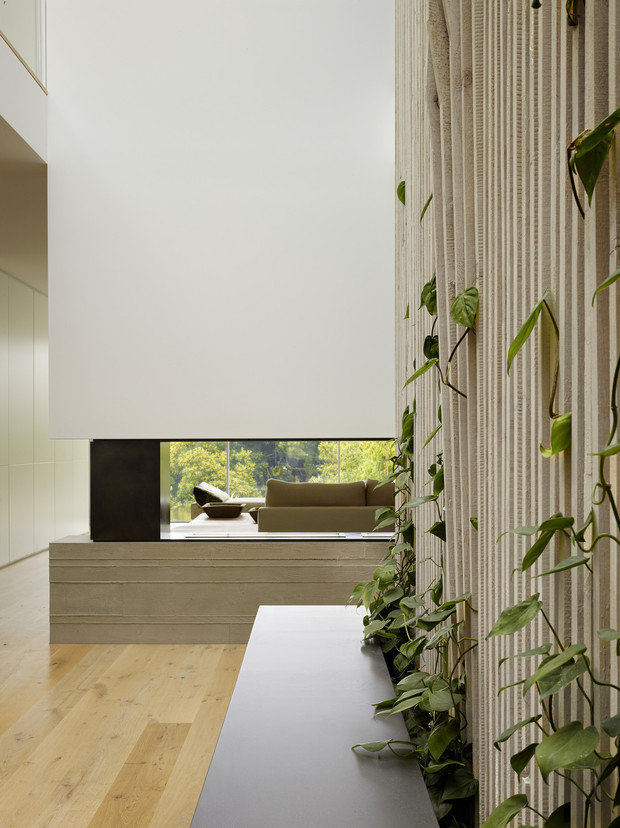 Фото из портфолио "Skyhaus" дом в Сан-Франциско – фотографии дизайна интерьеров на InMyRoom.ru