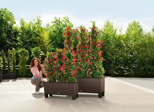 Фото из портфолио Кашпо LECHUZA (Лечуза) для цветов TRIO Cottage – фотографии дизайна интерьеров на INMYROOM
