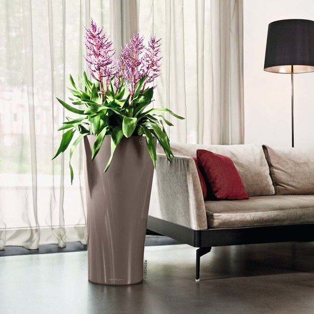 Фото из портфолио Кашпо для растений LECHUZA (Лечуза) DELTA 30 и 40 – фотографии дизайна интерьеров на INMYROOM