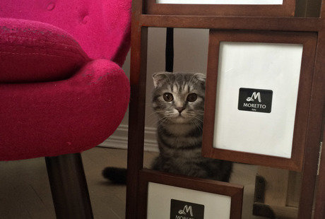 квартира в силе FUSION