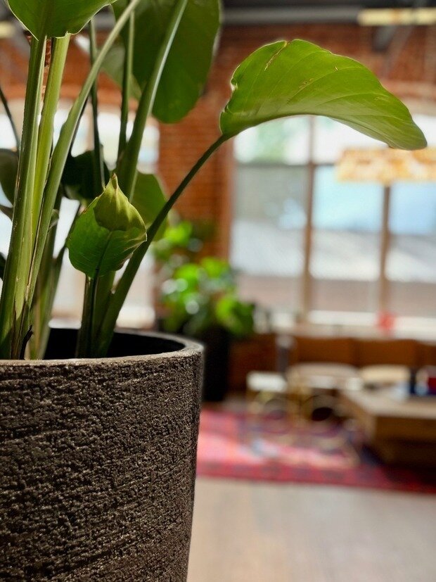 Фото из портфолио Шоурум Monncashmere г.Москва – фотографии дизайна интерьеров на INMYROOM