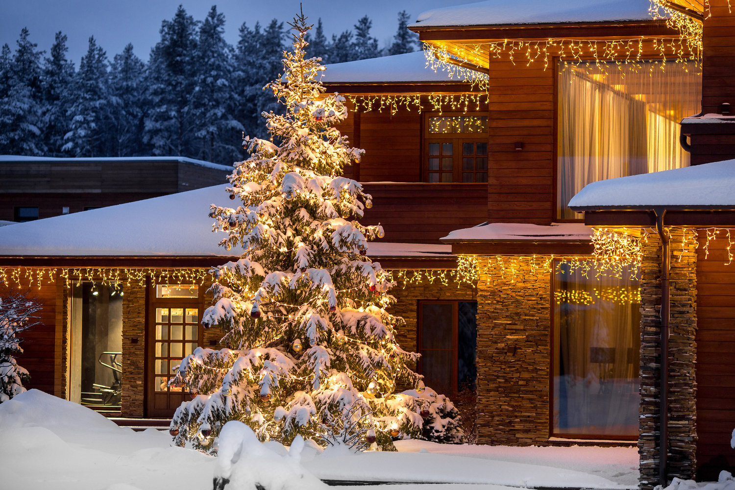 Фотография: в стиле , Советы, Derevo Park – фото на INMYROOM