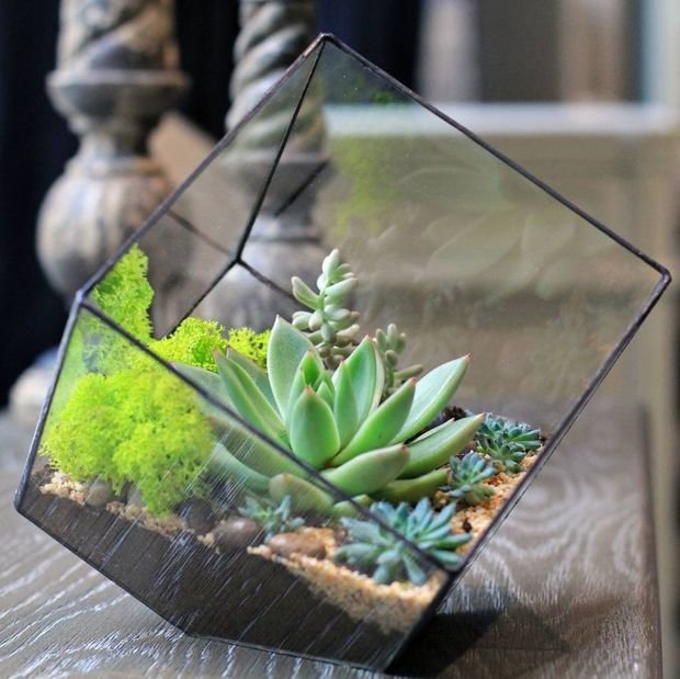 Фотография: Флористика в стиле , Гид, Welcome Studio – фото на INMYROOM