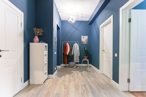 Фотография: Прихожая в стиле Скандинавский, Квартира, Проект недели, Санкт-Петербург, Кирпичный дом, 2 комнаты, 60-90 метров, Алена Рогачева, Полина Строкова – фото на INMYROOM