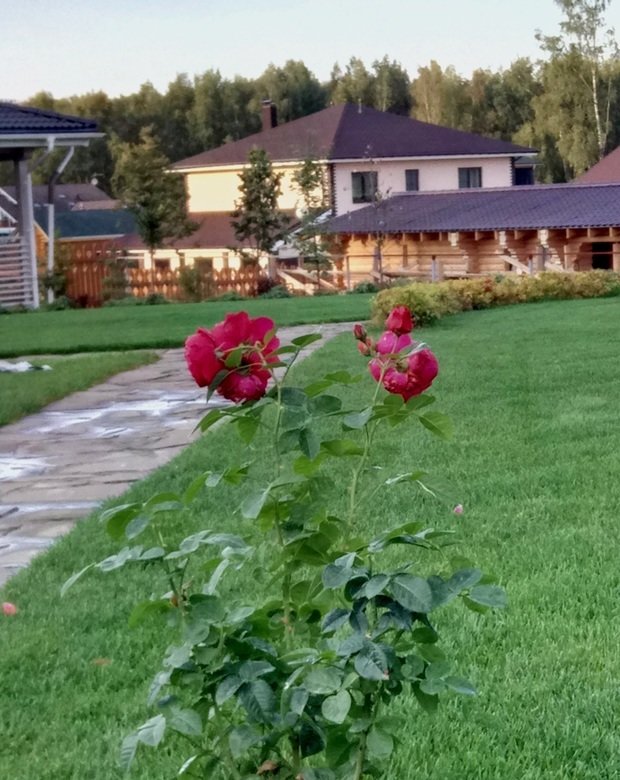 Фото из портфолио Портфолио ландшафтного дизайна_Дом на Истре – фотографии дизайна интерьеров на INMYROOM