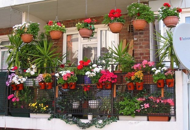 Фотография: Балкон, Терраса в стиле Прованс и Кантри, Интерьер комнат, Дом и дача – фото на INMYROOM