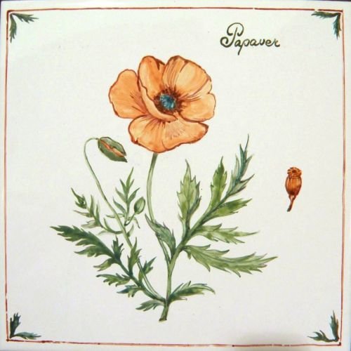 Фото из портфолио Изразцы – фотографии дизайна интерьеров на INMYROOM