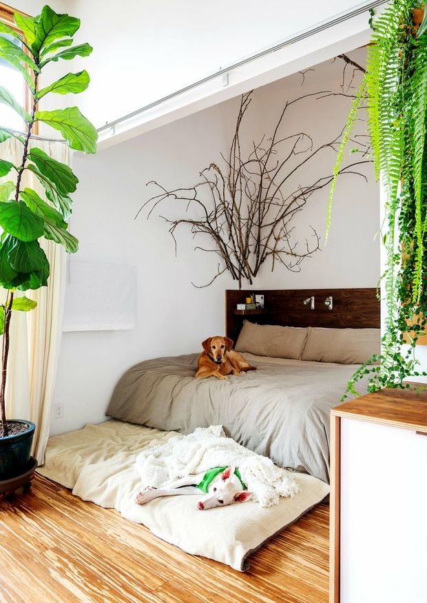 Фотография: Спальня в стиле Скандинавский, Современный, Интерьер комнат – фото на INMYROOM