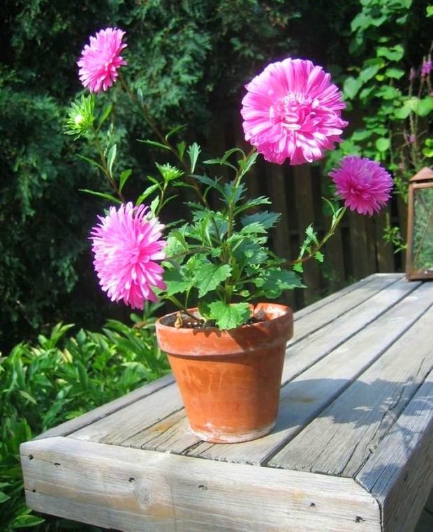 Фото из портфолио фото – фотографии дизайна интерьеров на INMYROOM