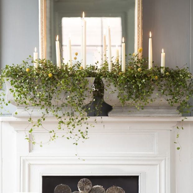 Фотография: Декор в стиле Эко, Декор интерьера, Флористика, Советы – фото на INMYROOM