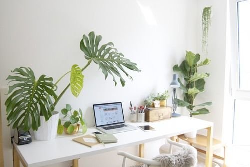 Фотография: Офис в стиле Скандинавский, Кабинет, Интерьер комнат – фото на INMYROOM