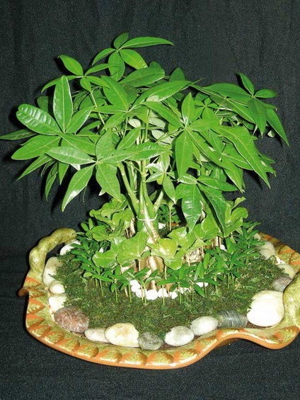 Фотография: Флористика в стиле , Стиль жизни – фото на INMYROOM