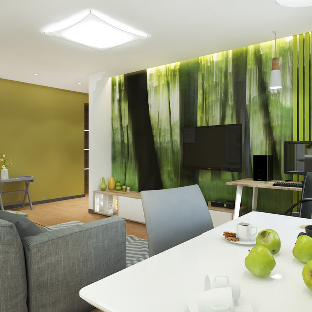 Фото из портфолио Гостиная-кухня в экостиле – фотографии дизайна интерьеров на INMYROOM