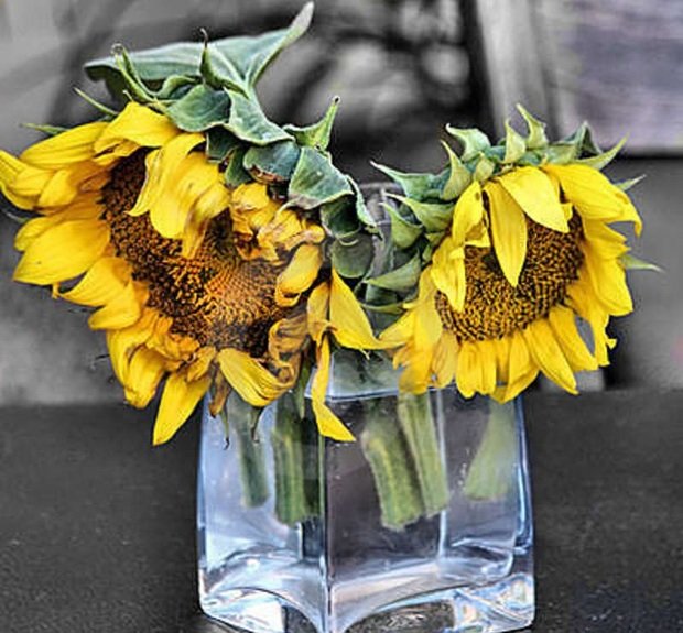 Фотография: Флористика в стиле , Декор интерьера, DIY, Дом, Цветы – фото на INMYROOM