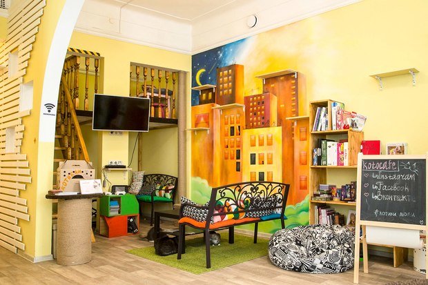 Фото из портфолио Котофейня  – фотографии дизайна интерьеров на INMYROOM